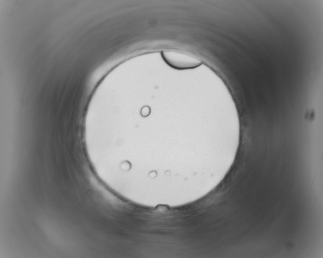 X0000113211527200910221051