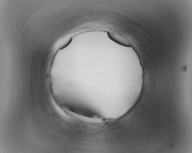 X0000113211528200910221051