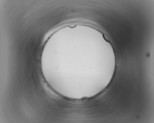 X0000113211530200910221051