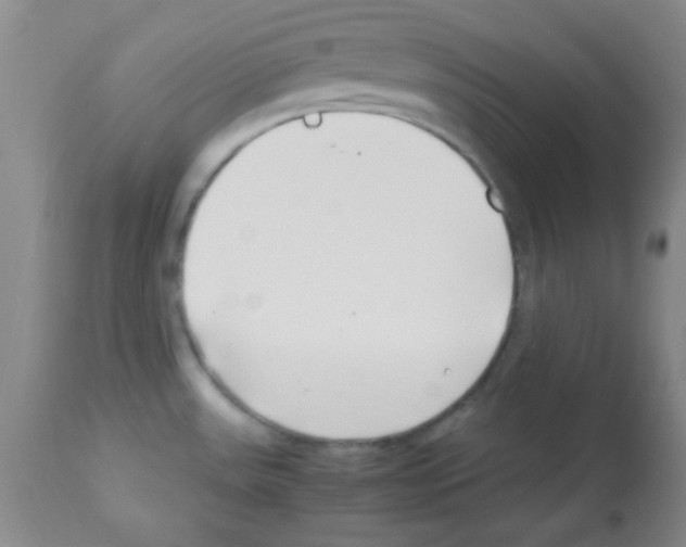 X0000113211531200910221051