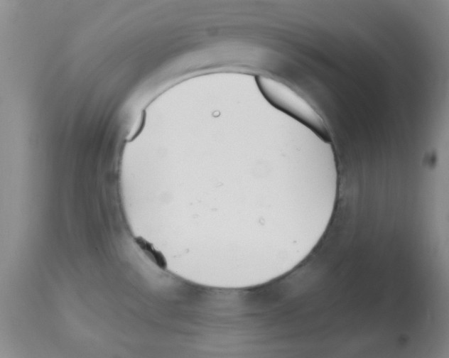 X0000113211532200910221051