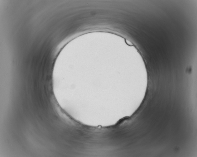 X0000113211534200910221051