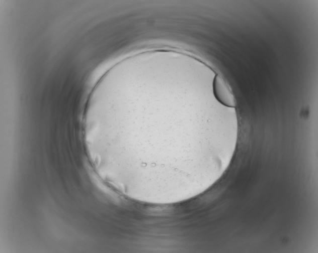 X0000113211535200910221051