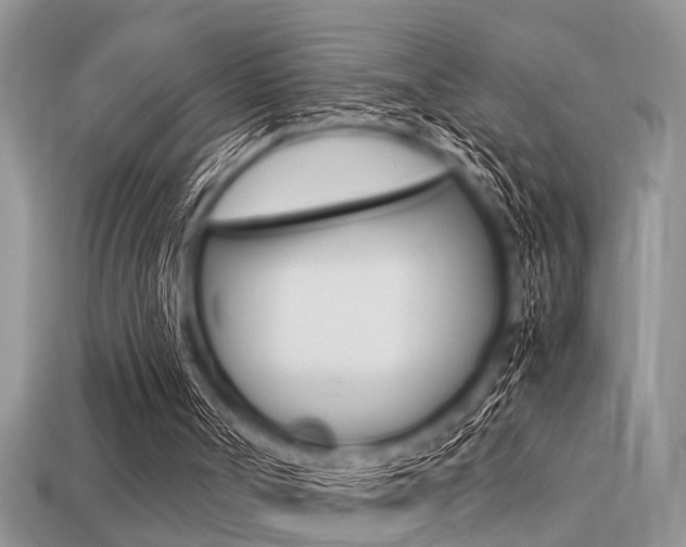 X0000113220002200909100932