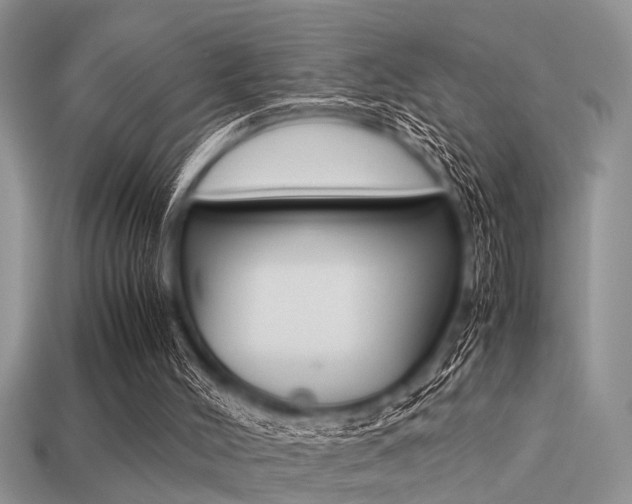 X0000113220004200909100932