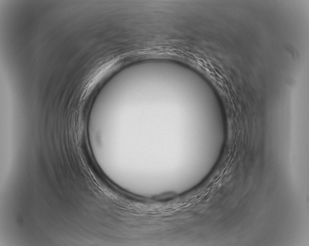 X0000113220005200909100932