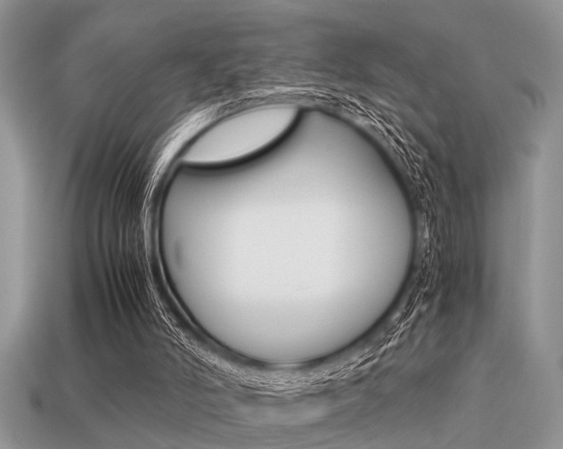 X0000113220006200909100932