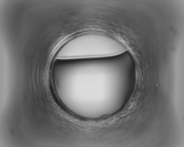 X0000113220007200909100932