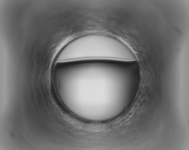 X0000113220008200909100932
