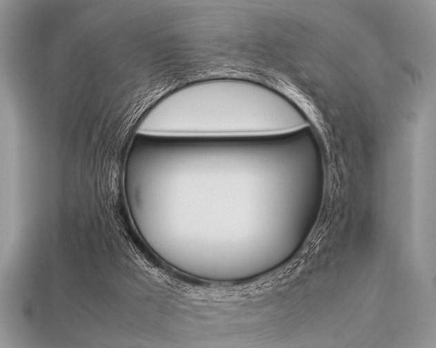 X0000113220009200909100932