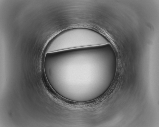 X0000113220012200909100932