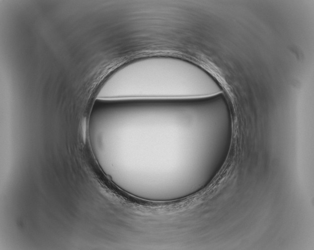 X0000113220013200909100932