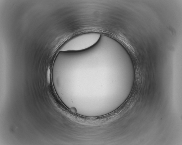X0000113220014200909100932