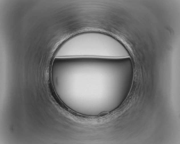 X0000113220015200909100932