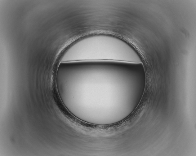 X0000113220016200909100932