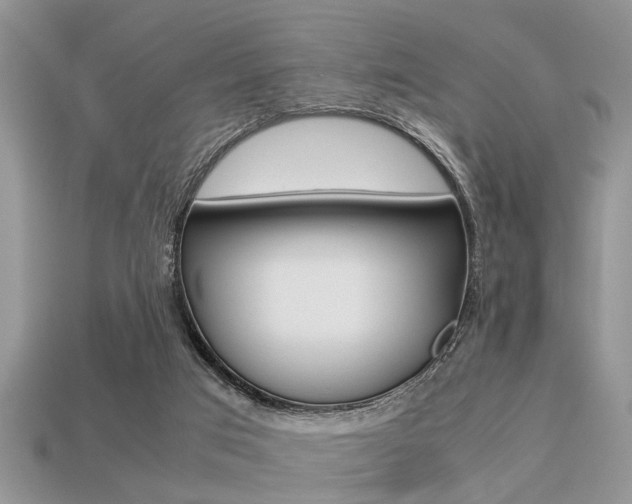 X0000113220017200909100932