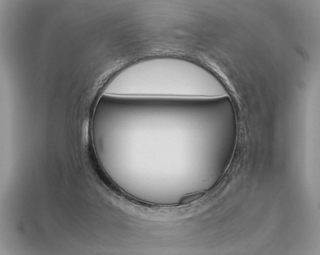 X0000113220019200909100932