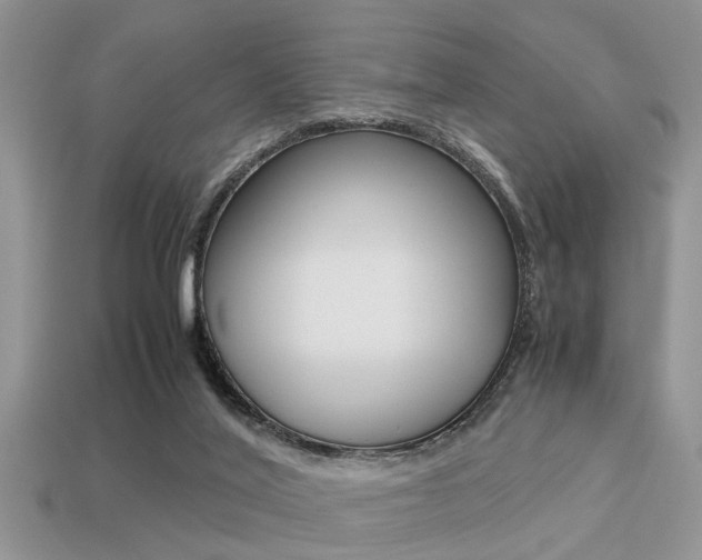 X0000113220020200909100932