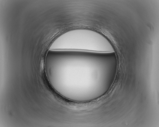 X0000113220021200909100932