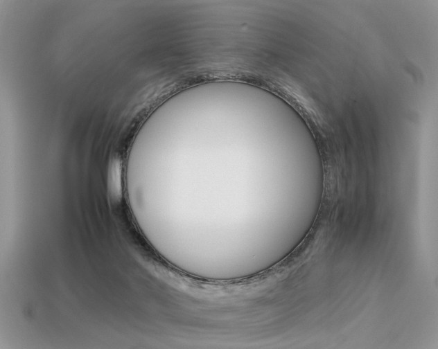 X0000113220022200909100932
