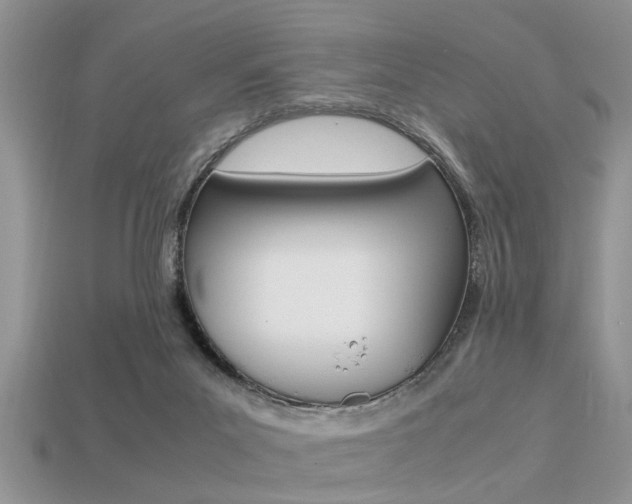 X0000113220023200909100932
