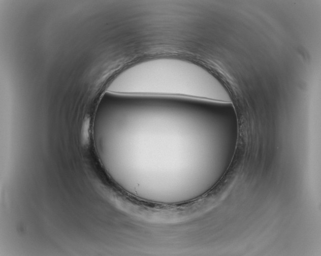 X0000113220024200909100932