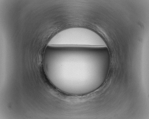 X0000113220025200909100932