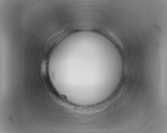 X0000113220026200909100932