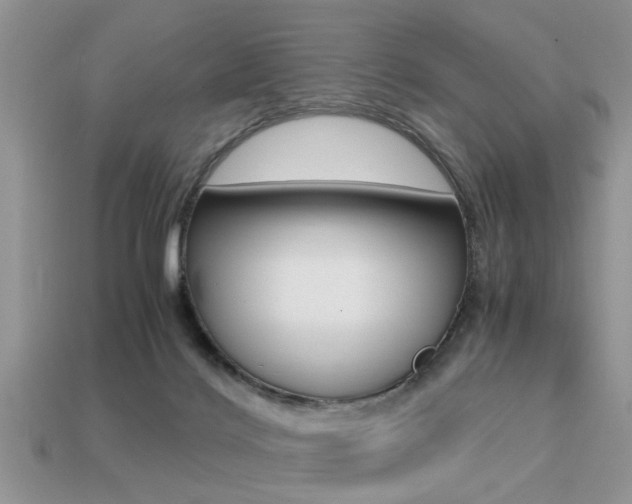 X0000113220028200909100932