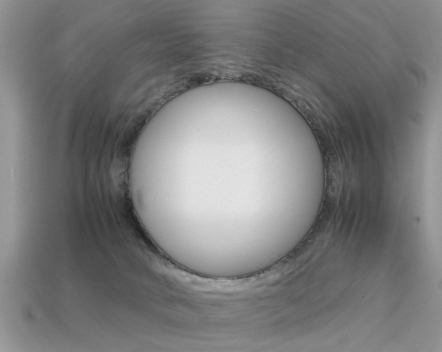 X0000113220034200909100932