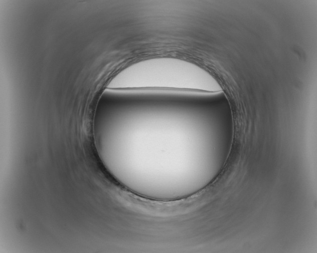 X0000113220035200909100932