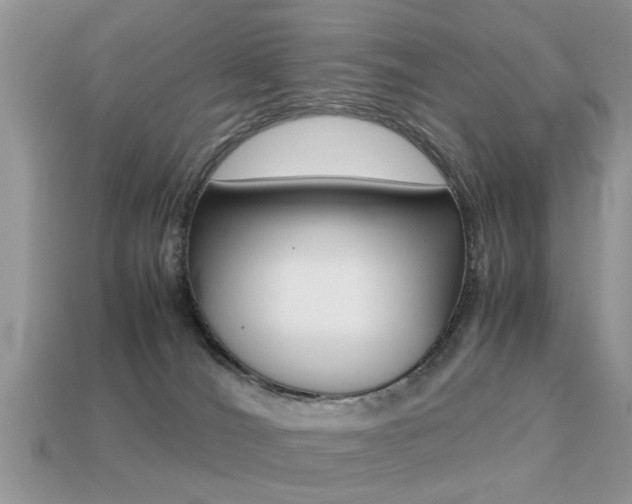 X0000113220036200909100932
