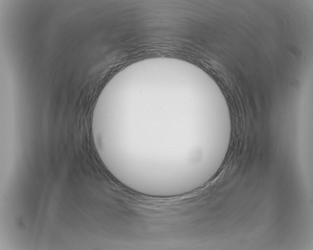 X0000113220037200909100932
