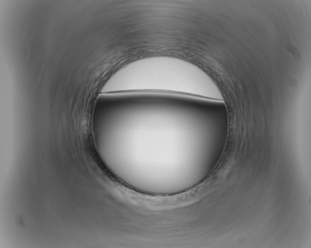 X0000113220039200909100932