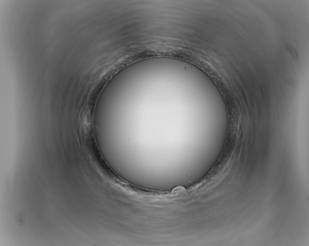 X0000113220040200909100932