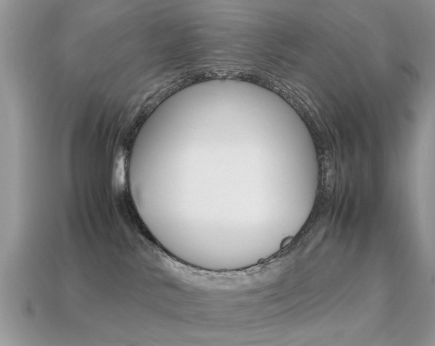 X0000113220042200909100932