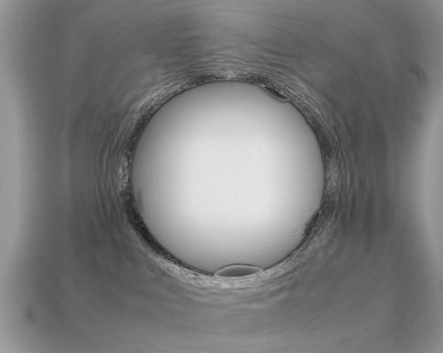 X0000113220043200909100932