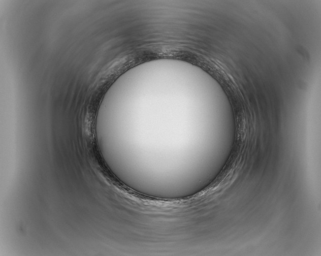 X0000113220044200909100932