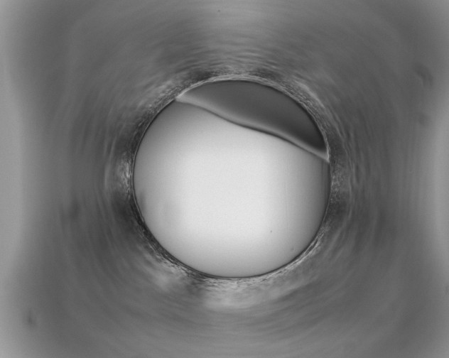 X0000113220045200909100932