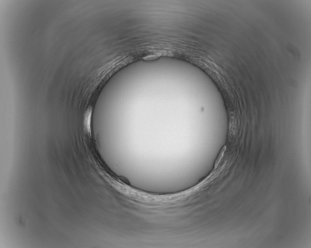 X0000113220047200909100932