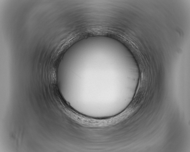 X0000113220048200909100931