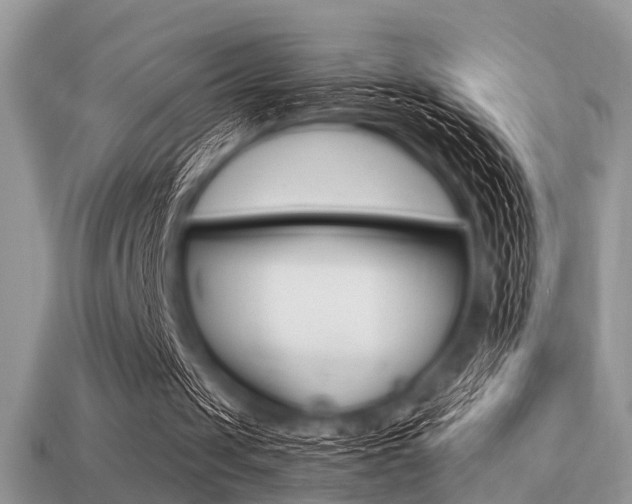 X0000113220049200909100931