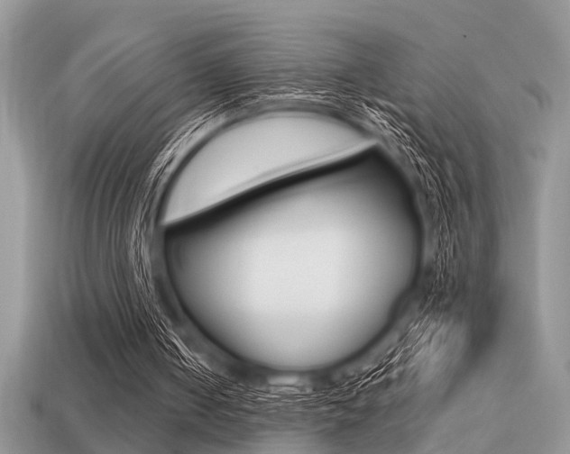 X0000113220050200909100931