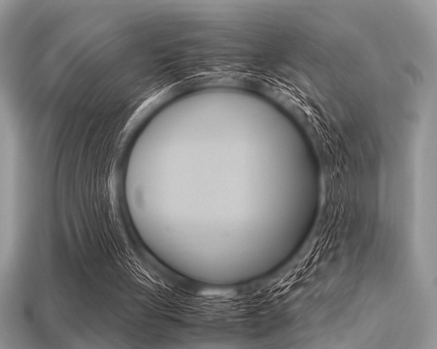 X0000113220051200909100931