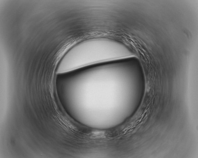 X0000113220052200909100931