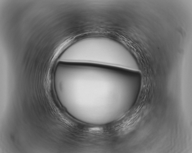 X0000113220053200909100931