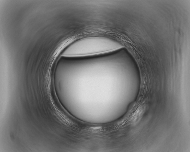 X0000113220054200909100931