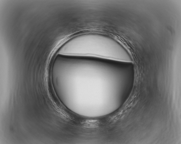 X0000113220055200909100931
