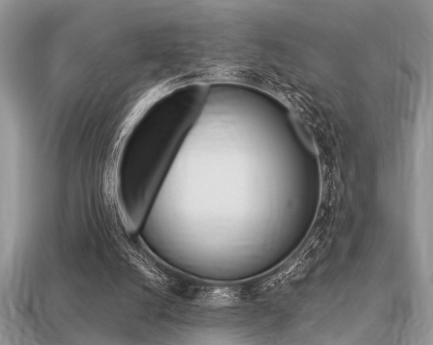 X0000113220056200909100931