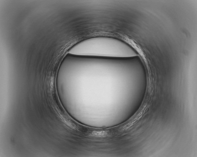 X0000113220057200909100931